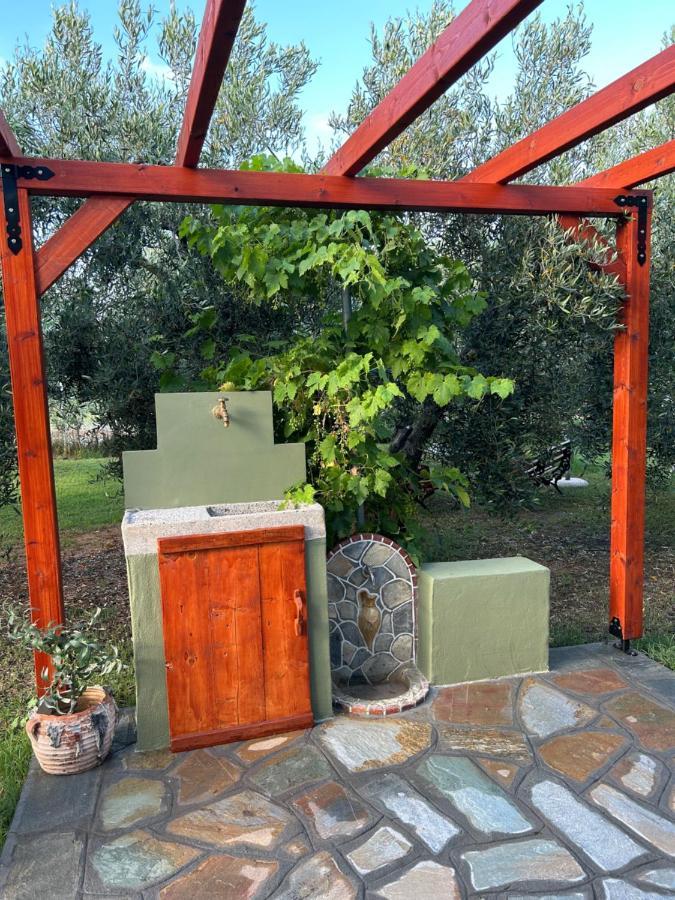 Green Olive Studios 2 Ágios Mámas Extérieur photo